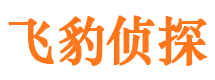 渭源侦探公司